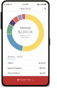 Quick, easy to understand view of your finances!